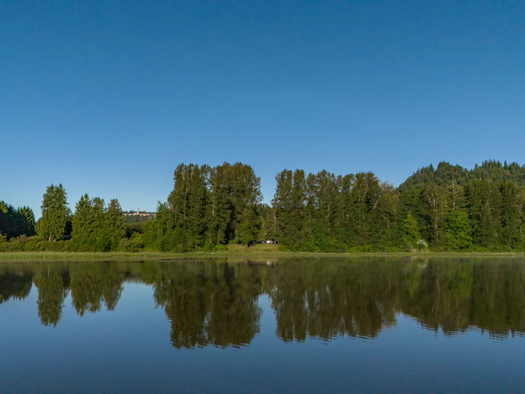 9172 Shook Road, Mission, BC, V2V 7M1 - 30