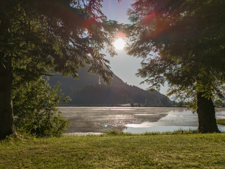 9172 Shook Road, Mission, BC, V2V 7M1 - 18