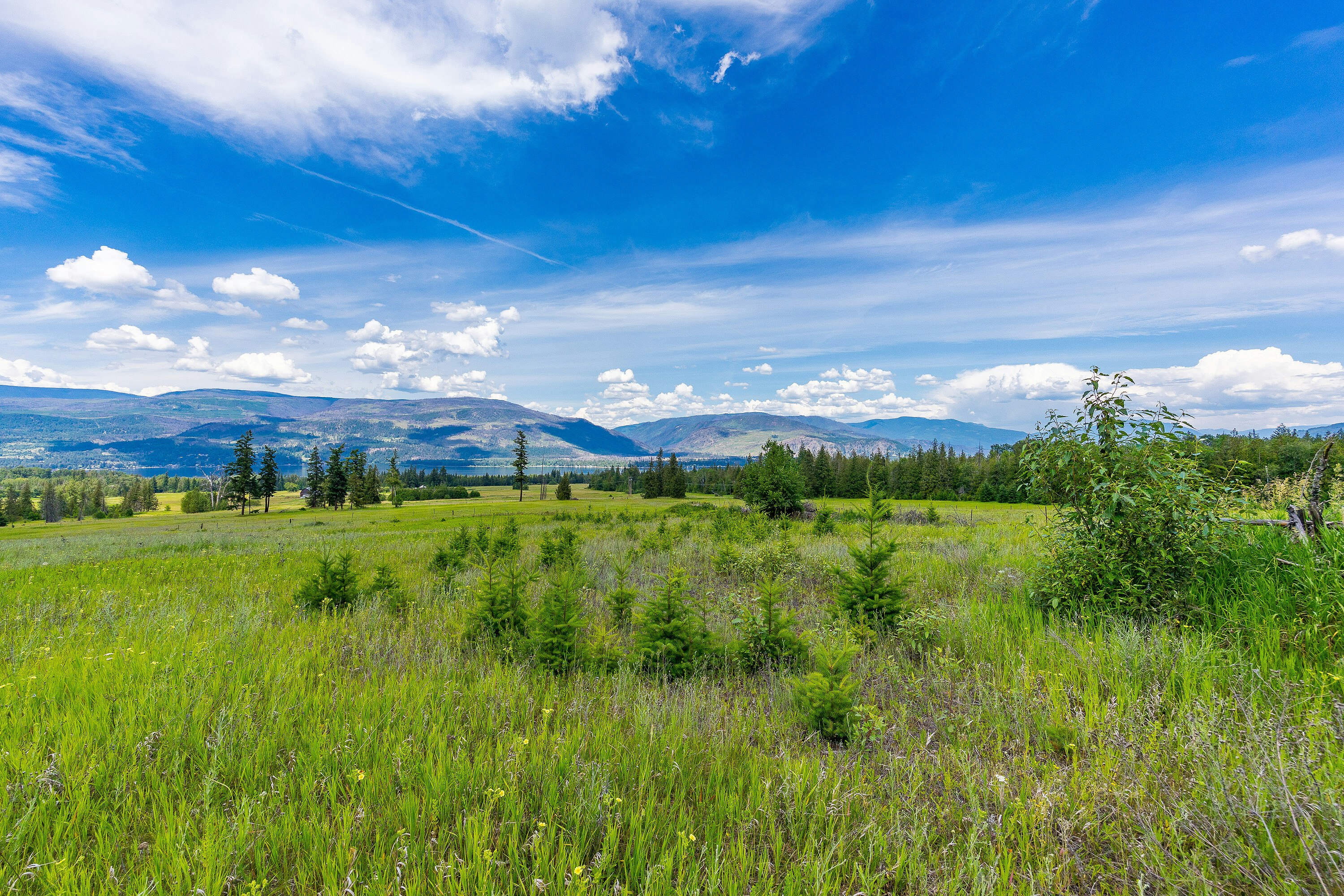 890 Dilworth Road, Sorrento, BC, V0E 2W1 - 28
