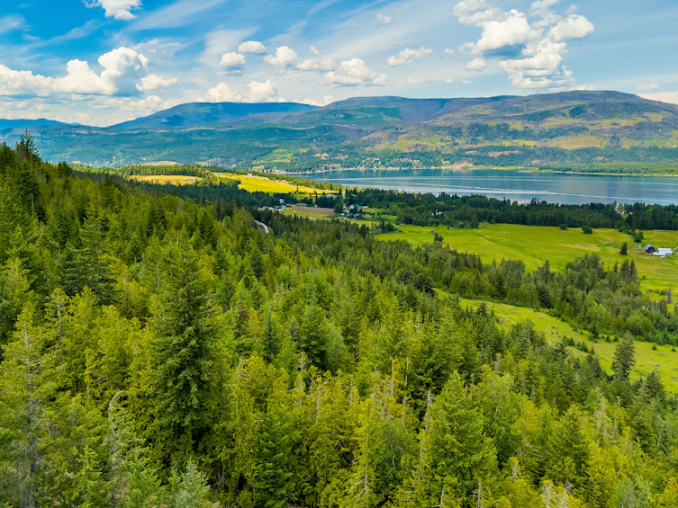 890 Dilworth Road, Sorrento, BC, V0E 2W1 - 10