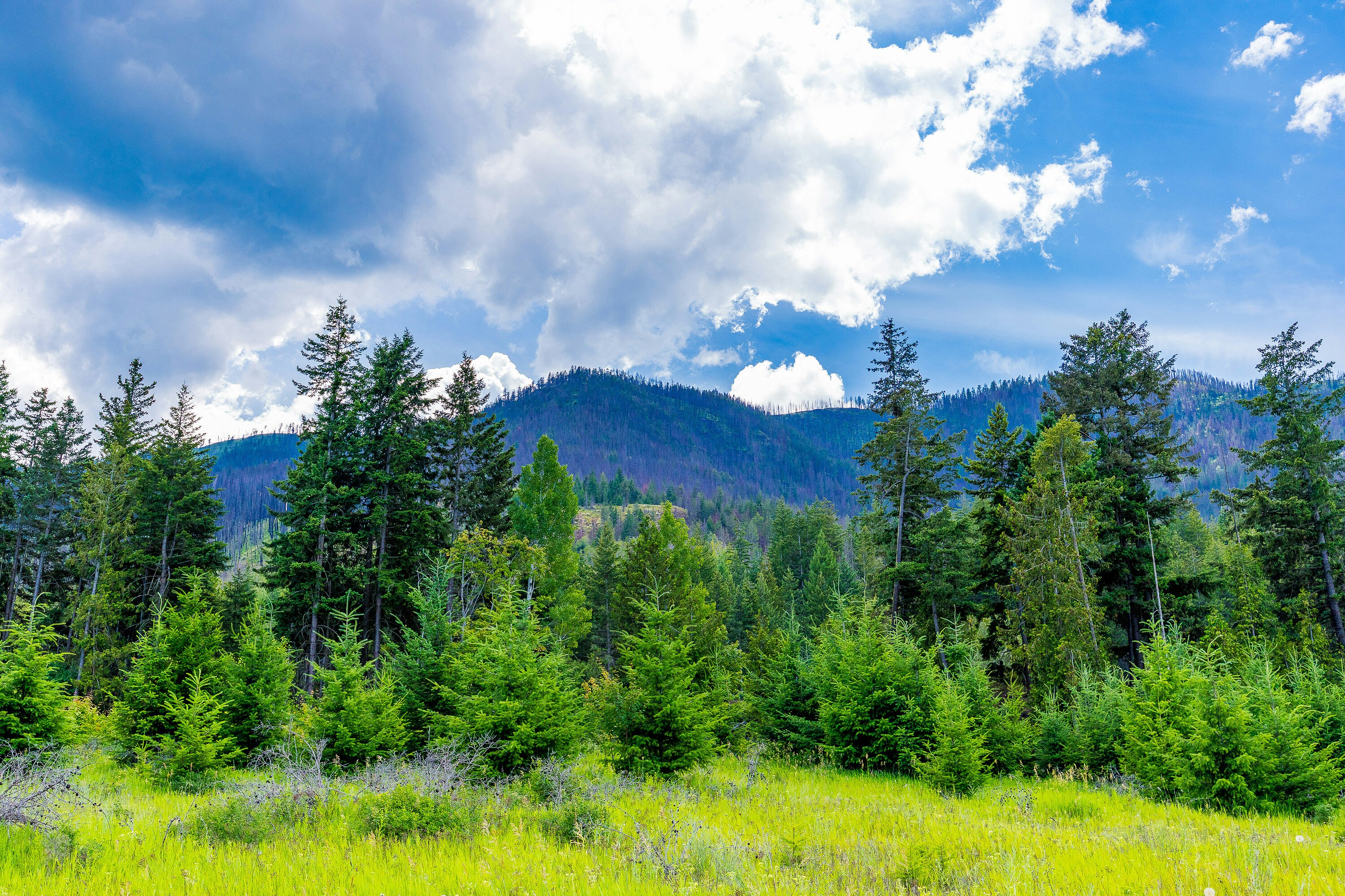 890 Dilworth Road, Sorrento, BC, V0E 2W1 - 30
