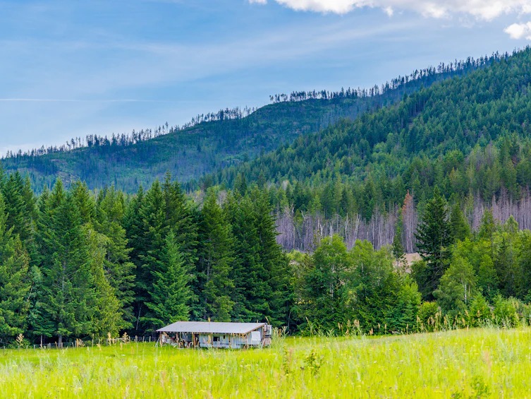 890 Dilworth Road, Sorrento, BC, V0E 2W1 - 31