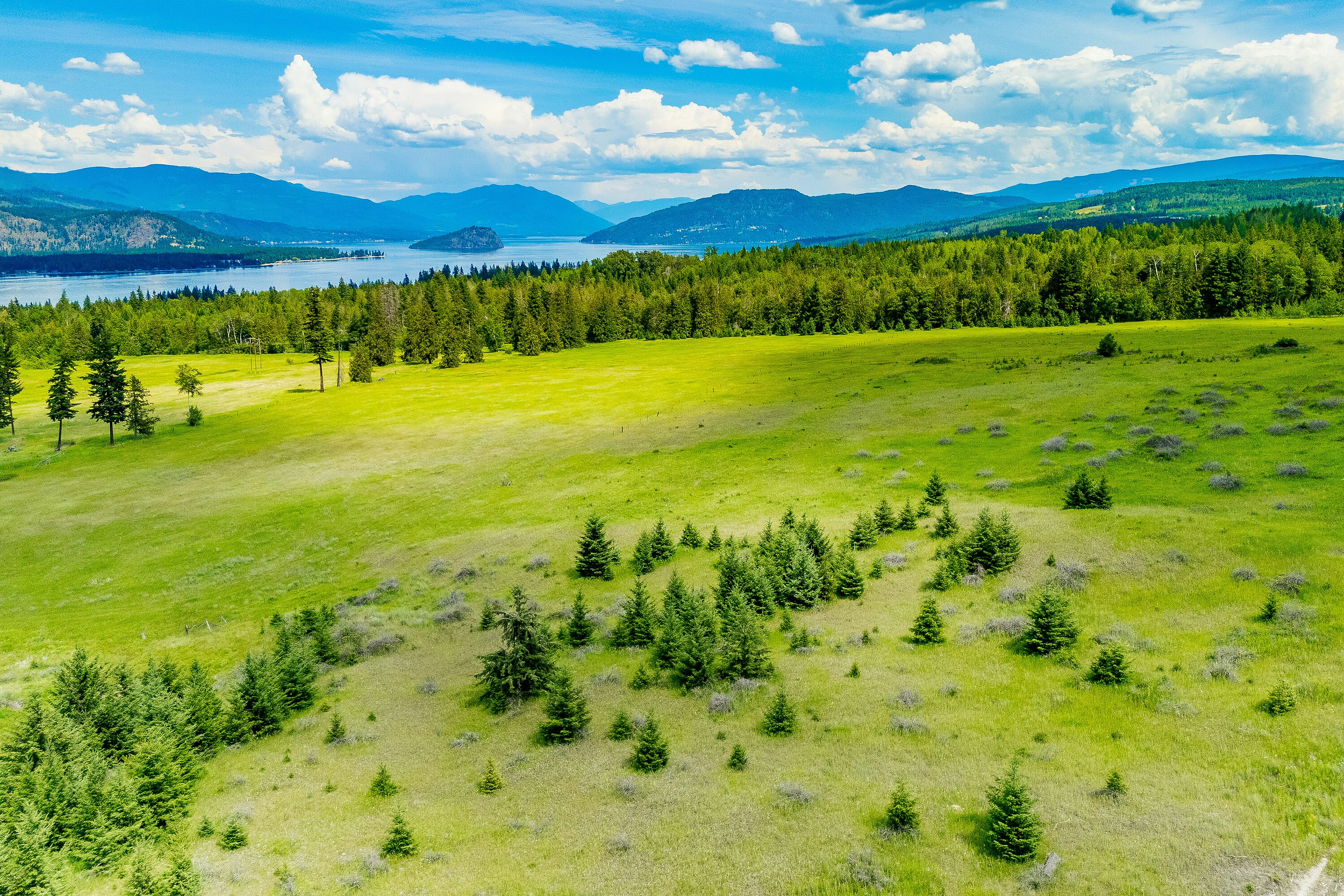 890 Dilworth Road, Sorrento, BC, V0E 2W1 - 15