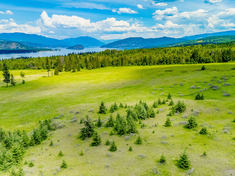 890 Dilworth Road, Sorrento, BC, V0E 2W1 - 15