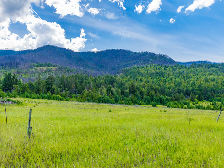 890 Dilworth Road, Sorrento, BC, V0E 2W1 - 33