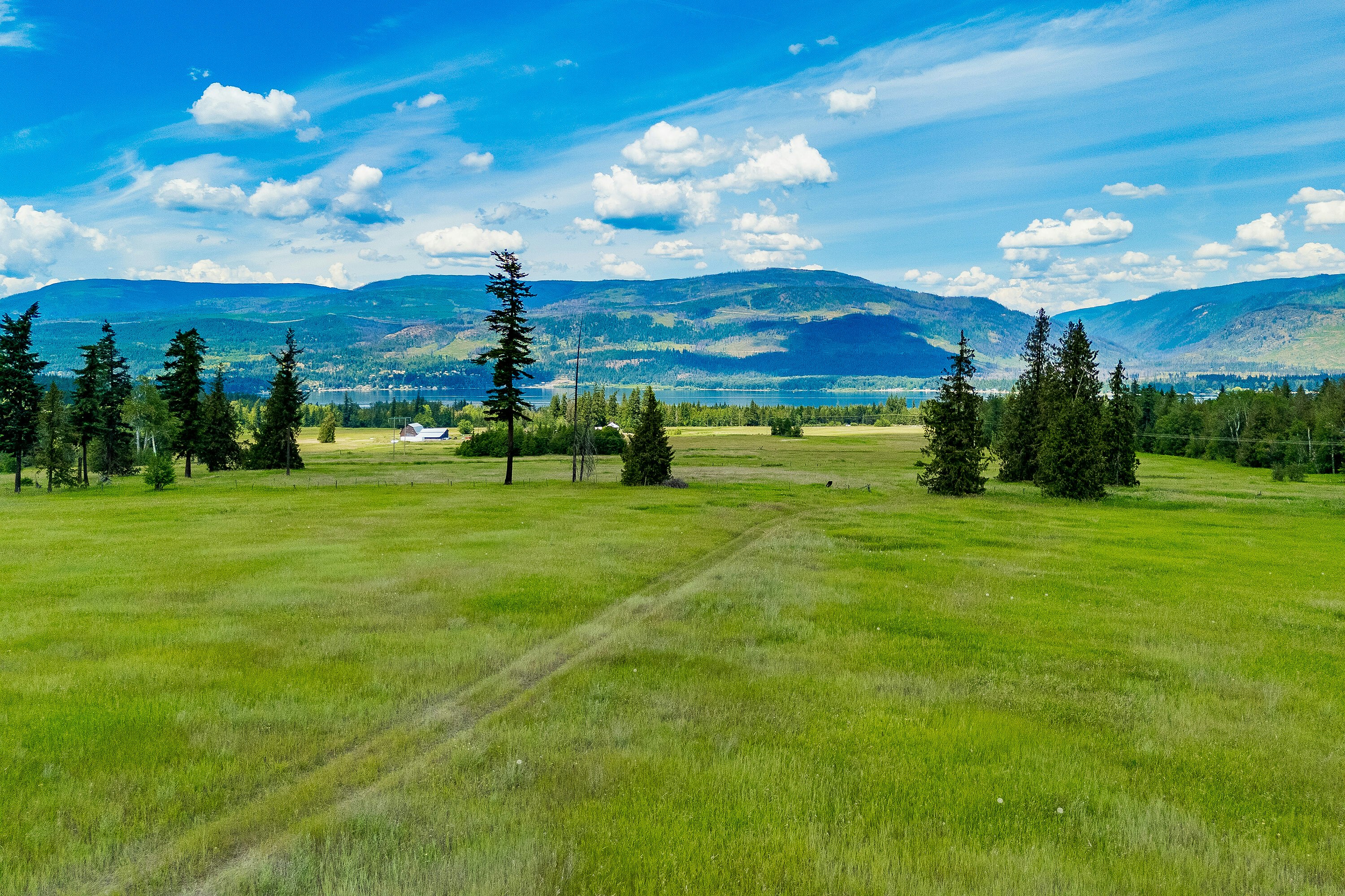 890 Dilworth Road, Sorrento, BC, V0E 2W1 - 19