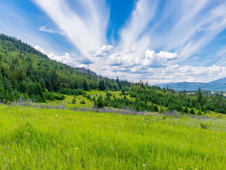 890 Dilworth Road, Sorrento, BC, V0E 2W1 - 29