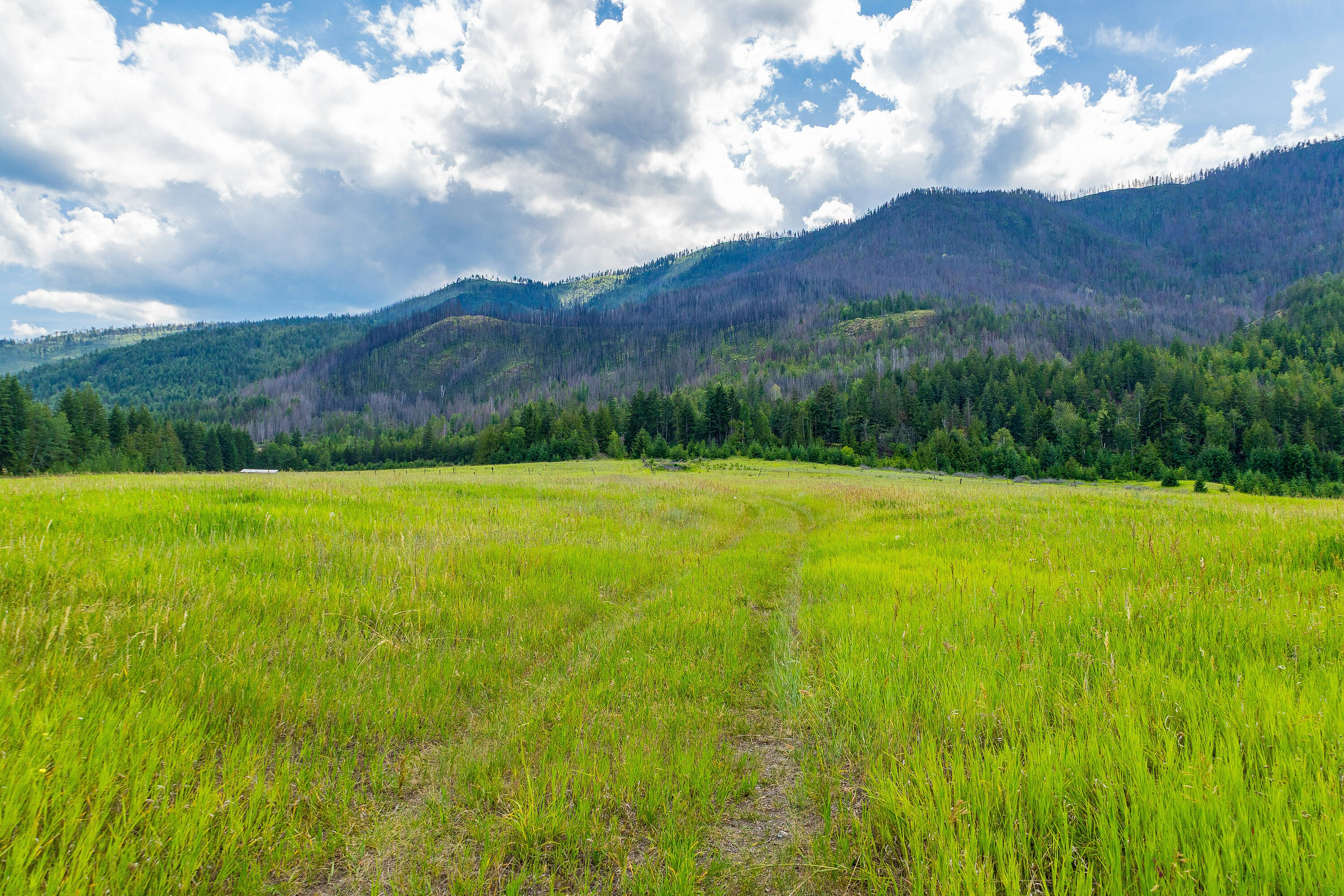 890 Dilworth Road, Sorrento, BC, V0E 2W1 - 21
