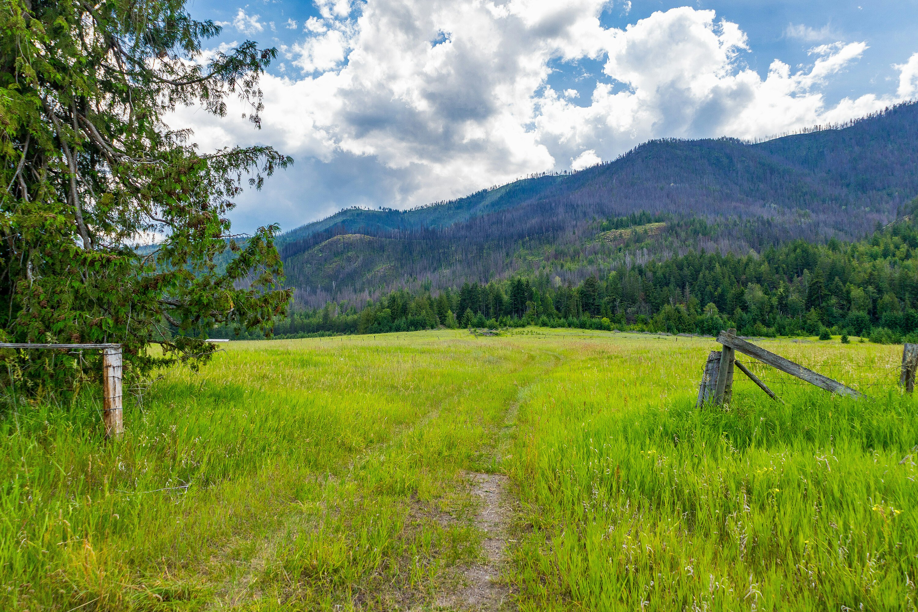 890 Dilworth Road, Sorrento, BC, V0E 2W1 - 20