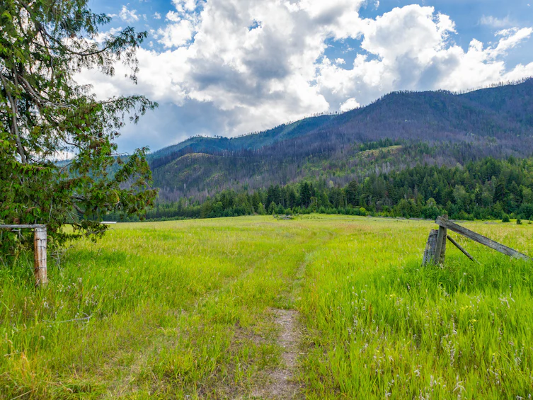 890 Dilworth Road, Sorrento, BC, V0E 2W1 - 20
