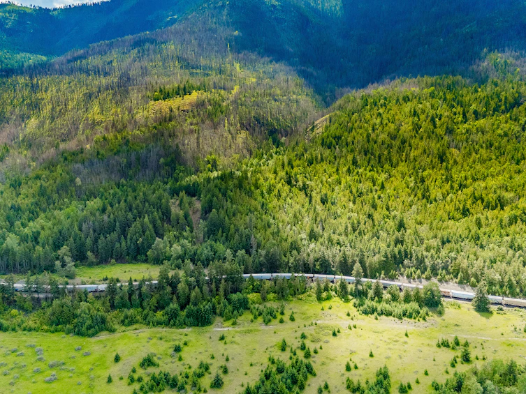 890 Dilworth Road, Sorrento, BC, V0E 2W1 - 14