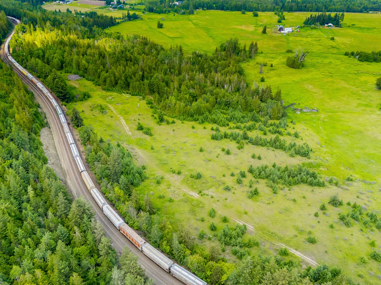 890 Dilworth Road, Sorrento, BC, V0E 2W1 - 12