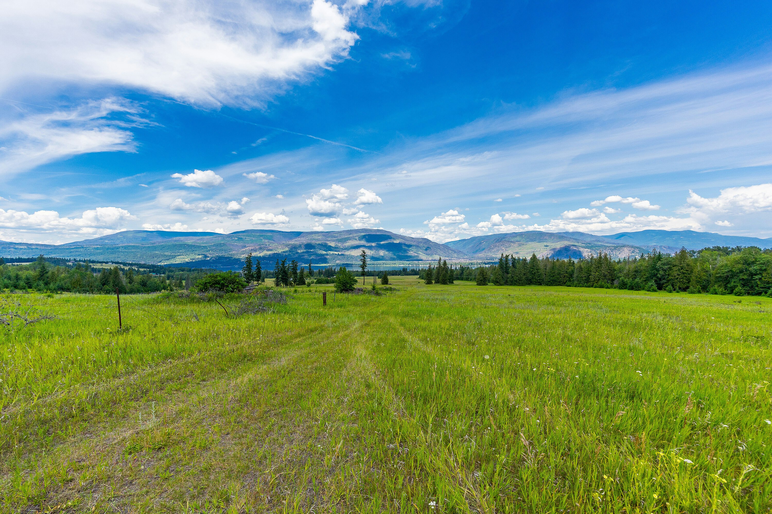 890 Dilworth Road, Sorrento, BC, V0E 2W1 - 24