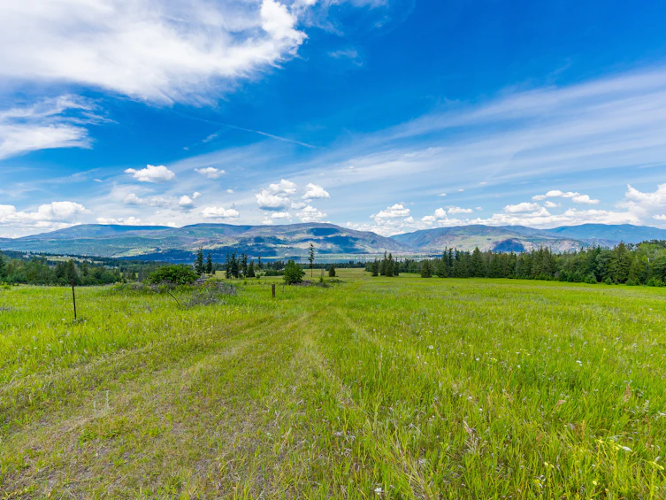 890 Dilworth Road, Sorrento, BC, V0E 2W1 - 24