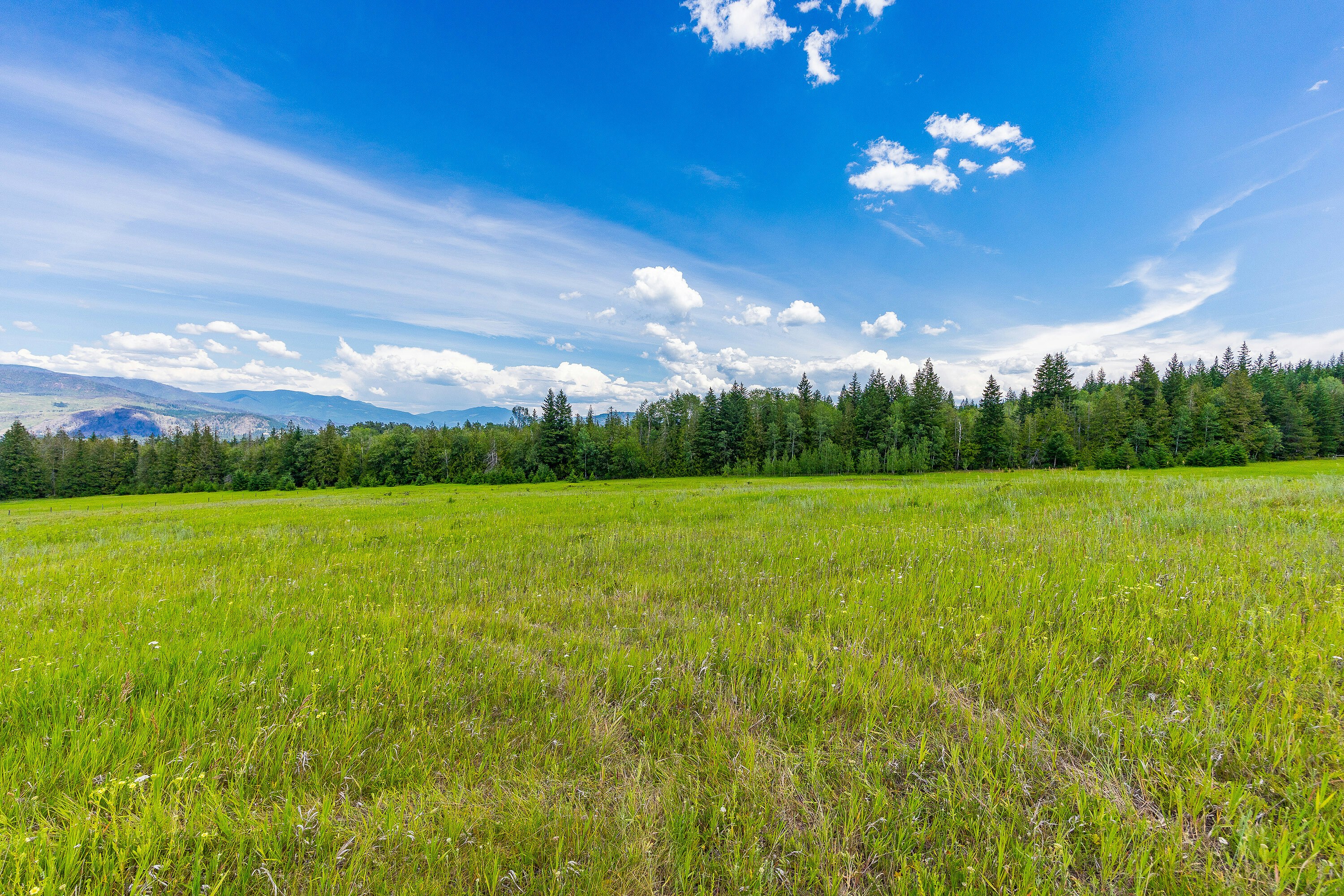890 Dilworth Road, Sorrento, BC, V0E 2W1 - 23
