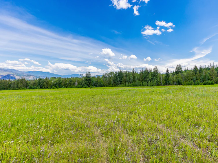 890 Dilworth Road, Sorrento, BC, V0E 2W1 - 23