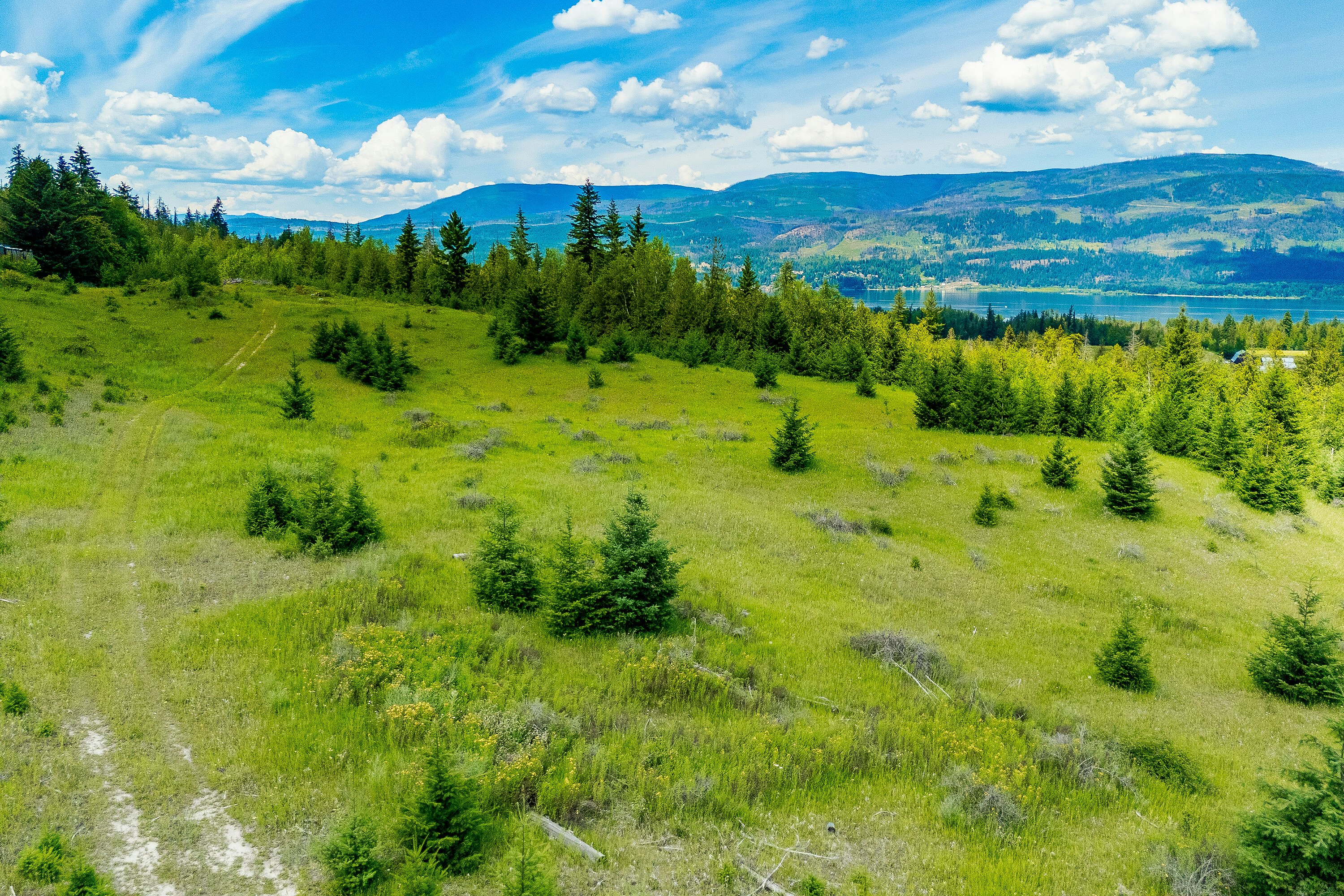 890 Dilworth Road, Sorrento, BC, V0E 2W1 - 16