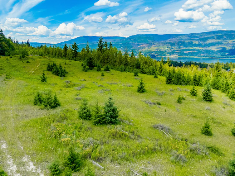 890 Dilworth Road, Sorrento, BC, V0E 2W1 - 16