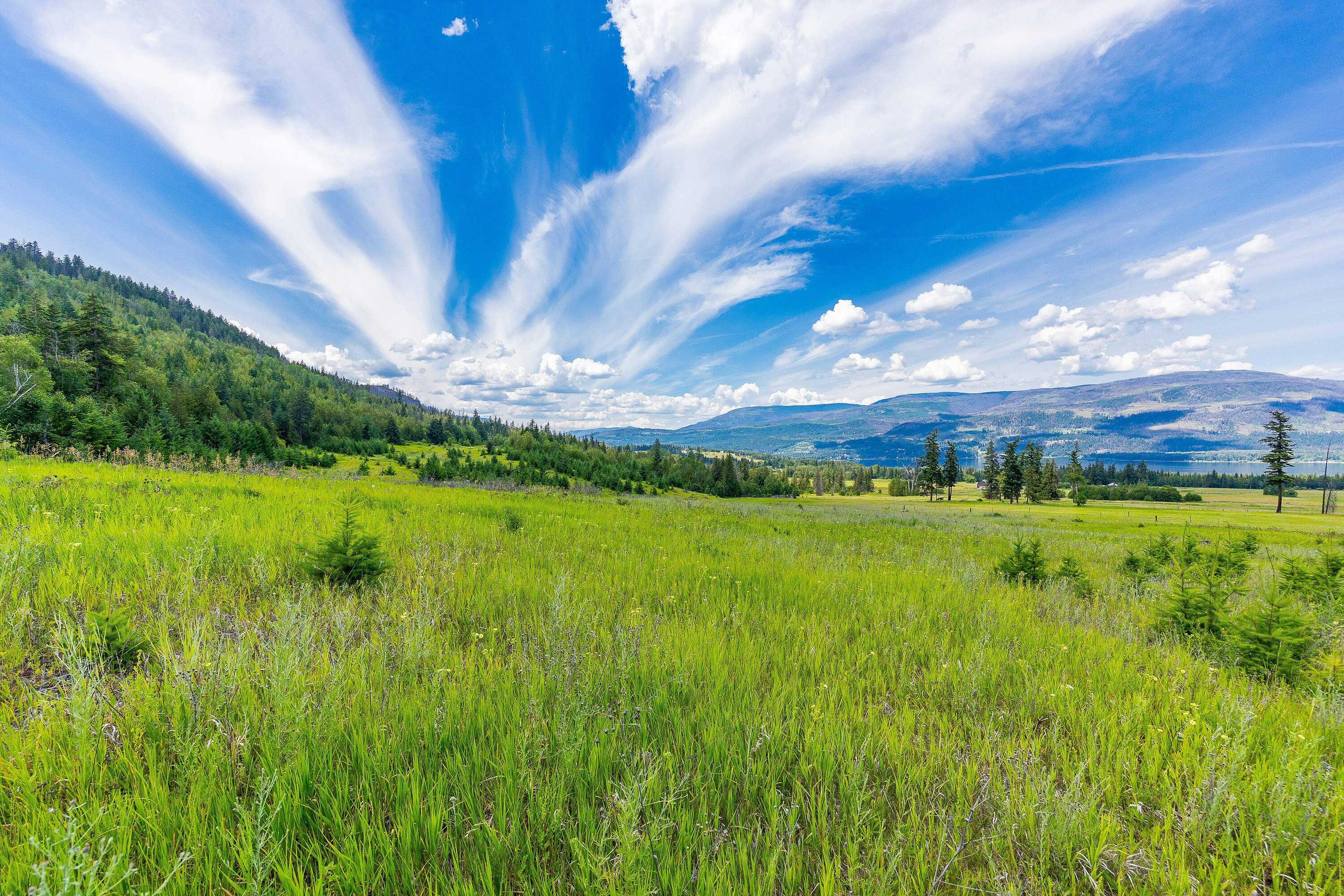 890 Dilworth Road, Sorrento, BC, V0E 2W1 - 27