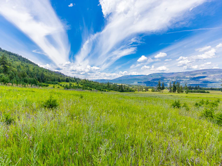 890 Dilworth Road, Sorrento, BC, V0E 2W1 - 27