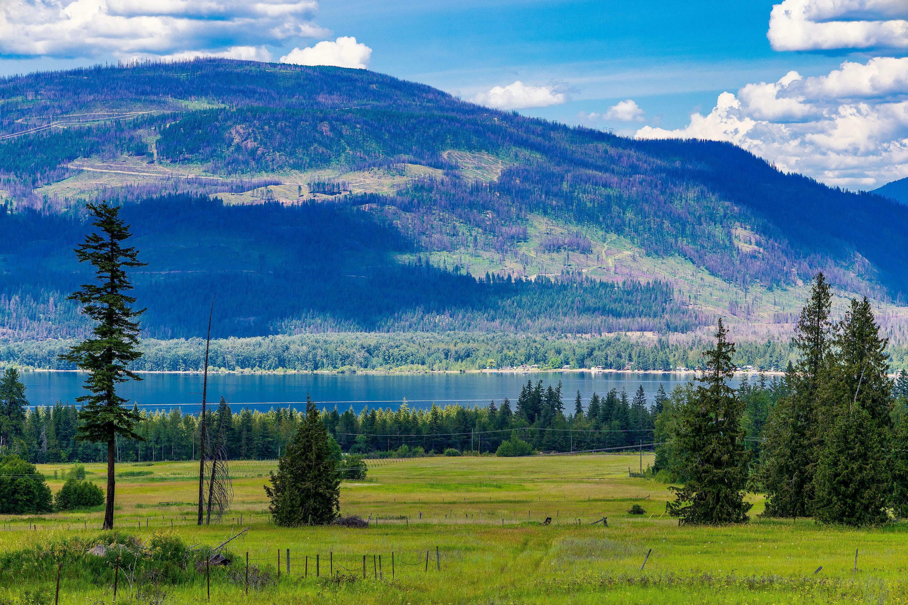 890 Dilworth Road, Sorrento, BC, V0E 2W1