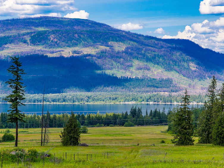 890 Dilworth Road, Sorrento, BC, V0E 2W1