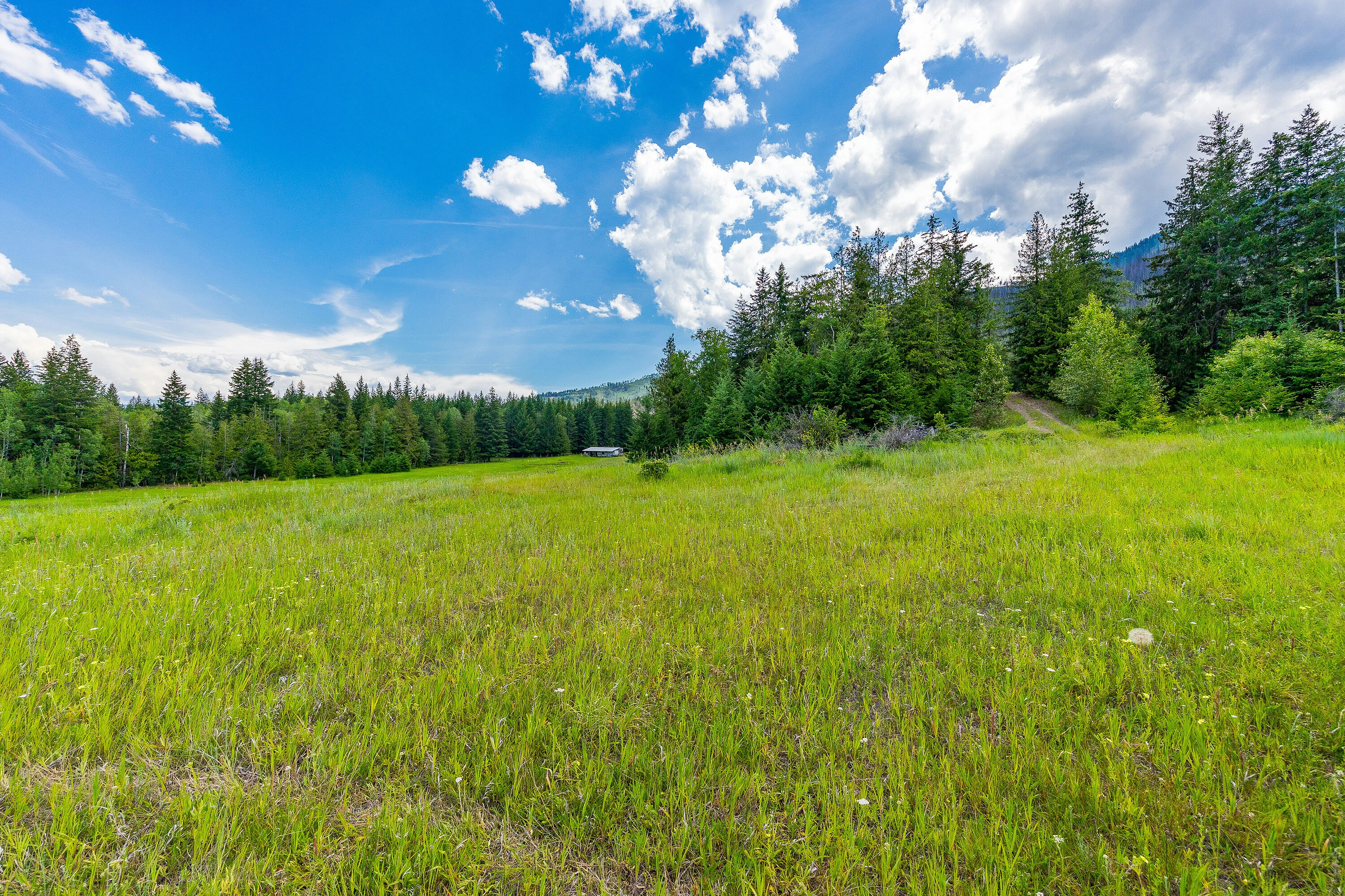 890 Dilworth Road, Sorrento, BC, V0E 2W1 - 22
