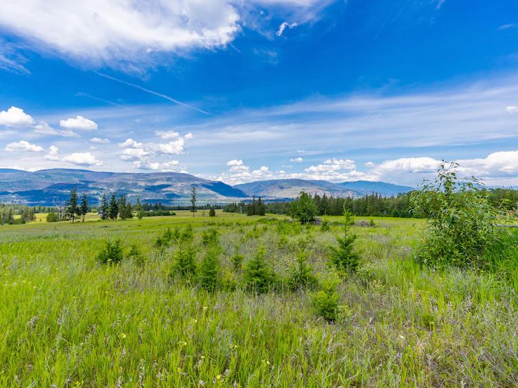 Lots 3, 4-5 Dilworth Road, Sorrento, BC, V0E 2W1 - 27