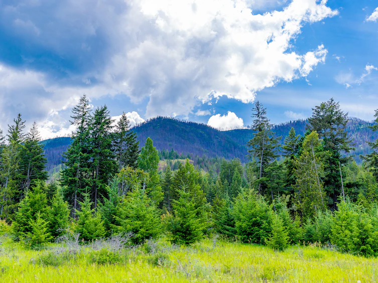 Lots 3, 4-5 Dilworth Road, Sorrento, BC, V0E 2W1 - 29