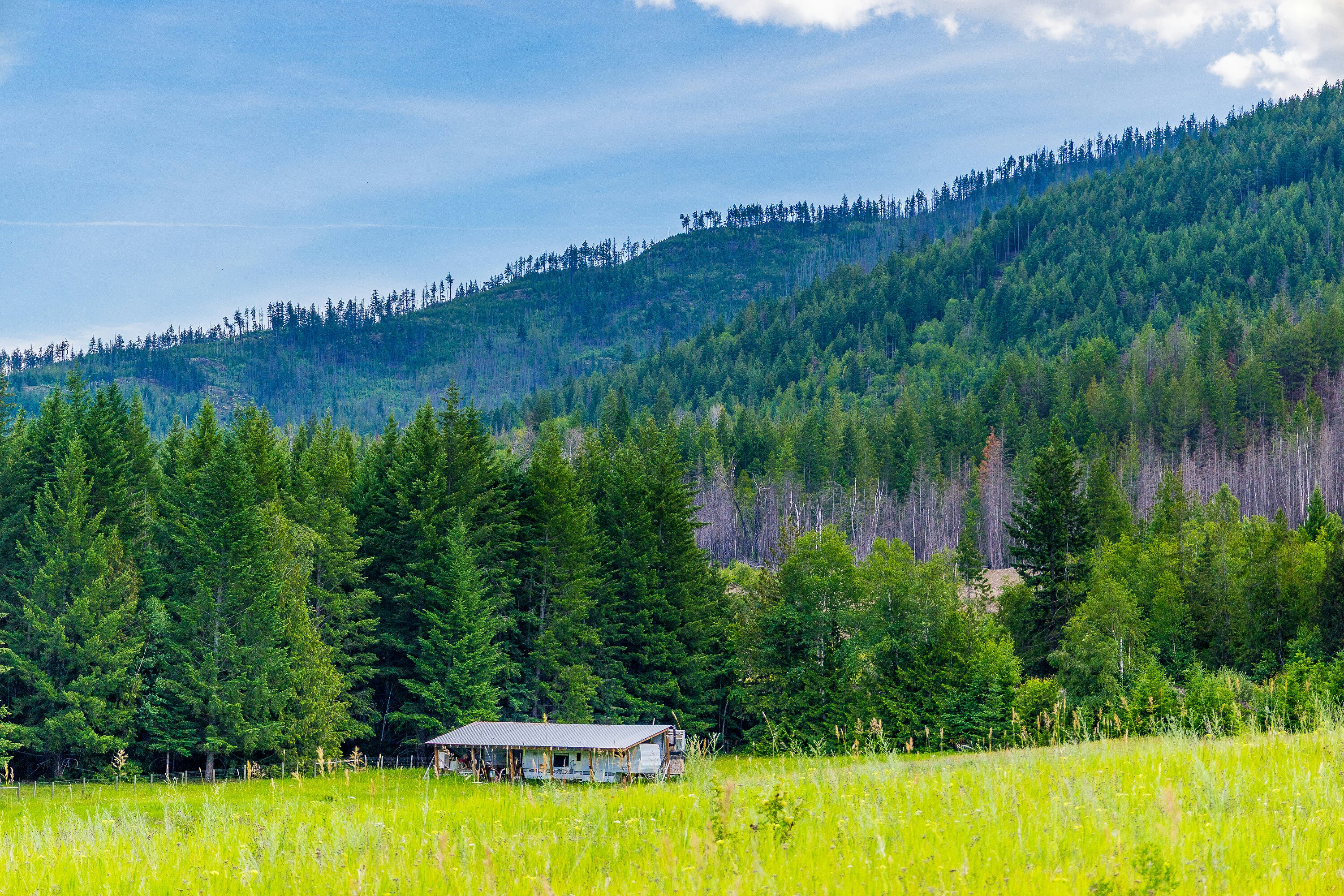 Lots 3, 4-5 Dilworth Road, Sorrento, BC, V0E 2W1 - 30