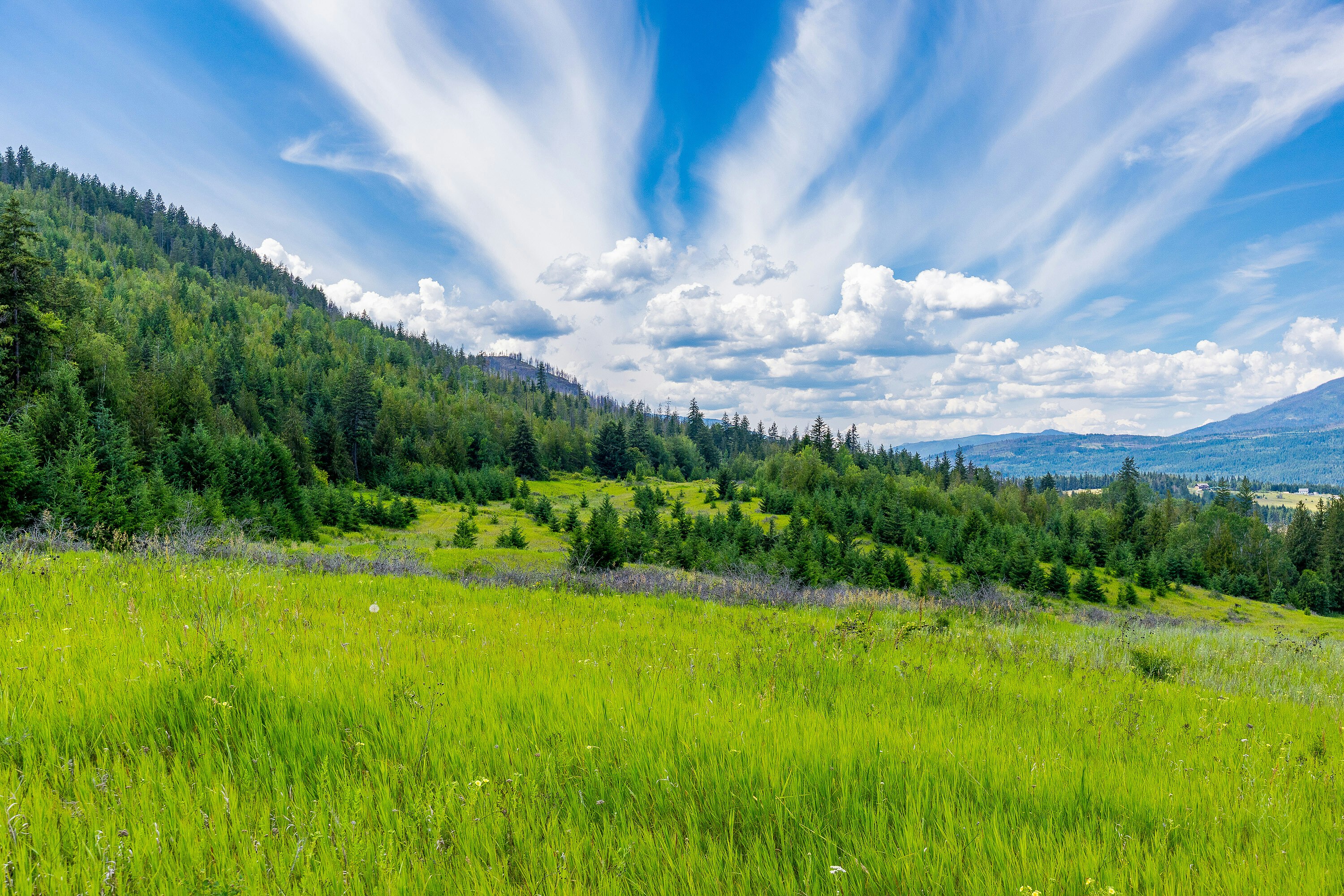 Lots 3, 4-5 Dilworth Road, Sorrento, BC, V0E 2W1 - 28