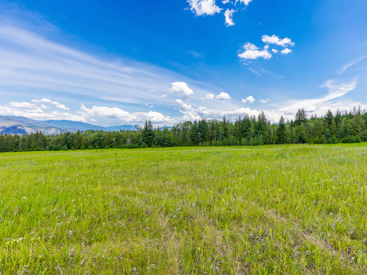 Lots 3, 4-5 Dilworth Road, Sorrento, BC, V0E 2W1 - 22