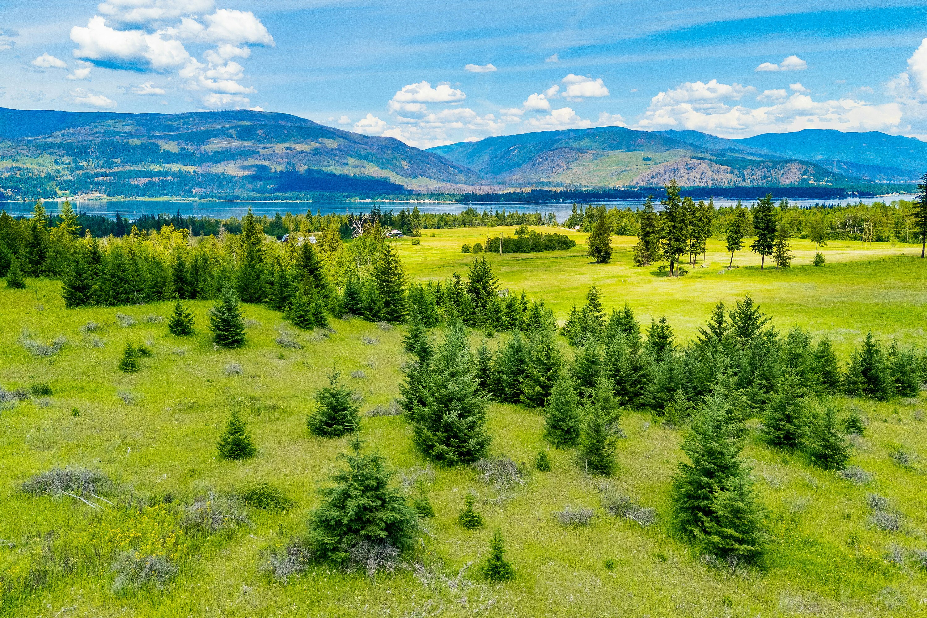 Lots 3, 4-5 Dilworth Road, Sorrento, BC, V0E 2W1 - 16