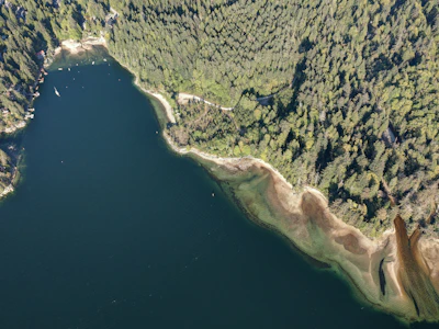 7425 Sechelt Inlet Road - 4