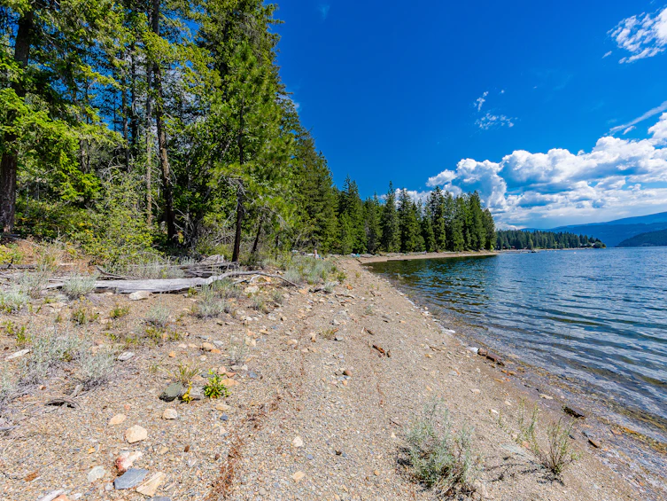 2 Sunnybrae Canoe Point Road, Tappen, BC, V0E 2X1 - 15