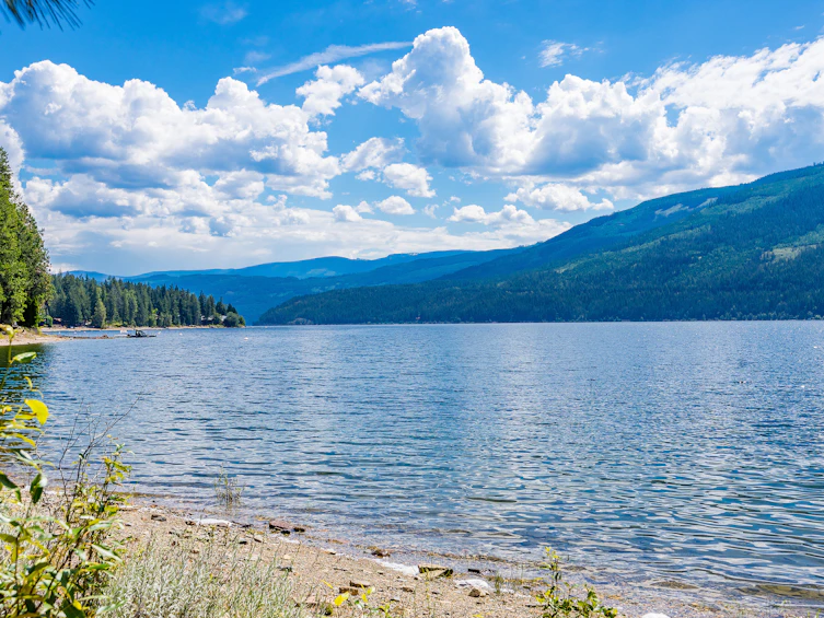 2 Sunnybrae Canoe Point Road, Tappen, BC, V0E 2X1 - 17