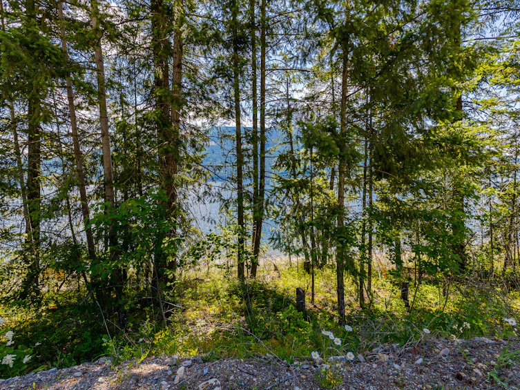 2 Sunnybrae Canoe Point Road, Tappen, BC, V0E 2X1 - 13