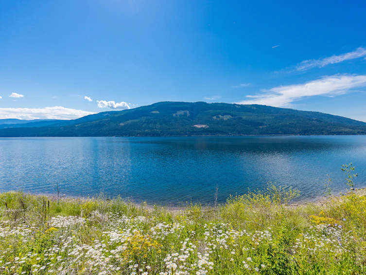 1-4990 Sunnybrae Canoe Point Road, Tappen, BC, V0E 2X1 - 26