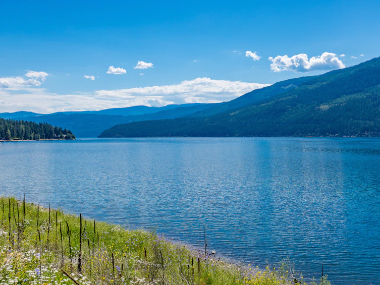 1-4990 Sunnybrae Canoe Point Road, Tappen, BC, V0E 2X1 - 25
