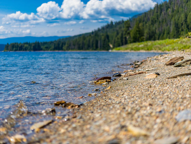 1-4990 Sunnybrae Canoe Point Road, Tappen, BC, V0E 2X1 - 17