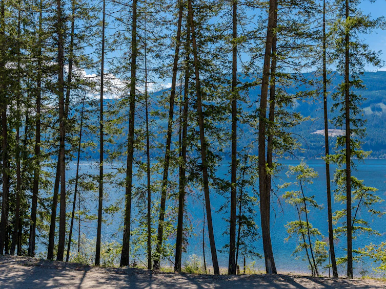 1-4990 Sunnybrae Canoe Point Road, Tappen, BC, V0E 2X1 - 47