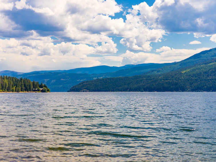 1-4990 Sunnybrae Canoe Point Road, Tappen, BC, V0E 2X1 - 19