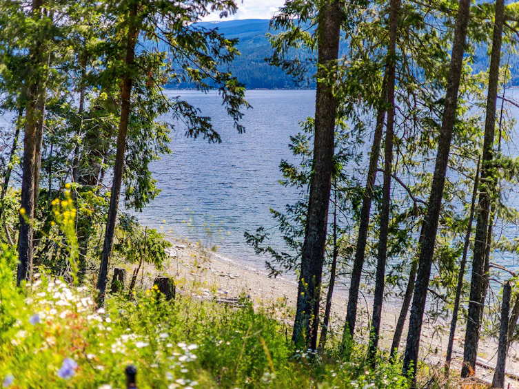 2-4990 Sunnybrae Canoe Point Road, Tappen, BC, V0E 2X1 - 25