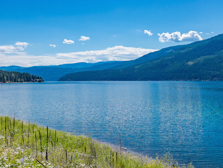 2-4990 Sunnybrae Canoe Point Road, Tappen, BC, V0E 2X1 - 26