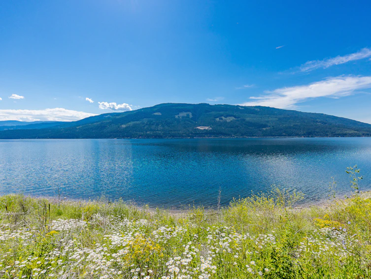 2-4990 Sunnybrae Canoe Point Road, Tappen, BC, V0E 2X1 - 27