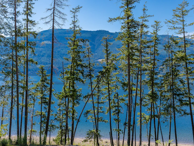 2-4990 Sunnybrae Canoe Point Road, Tappen, BC, V0E 2X1 - 48
