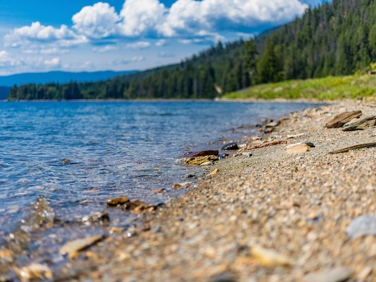 7-4990 Sunnybrae Canoe Point Road, Tappen, BC, V0E 2X1 - 17