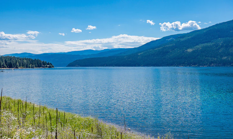 14-4990 Sunnybrae Canoe Point Road