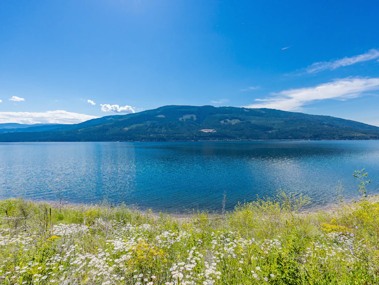 4990 Sunnybrae Canoe Point Road, Tappen, BC, V0E 2X1 - 27