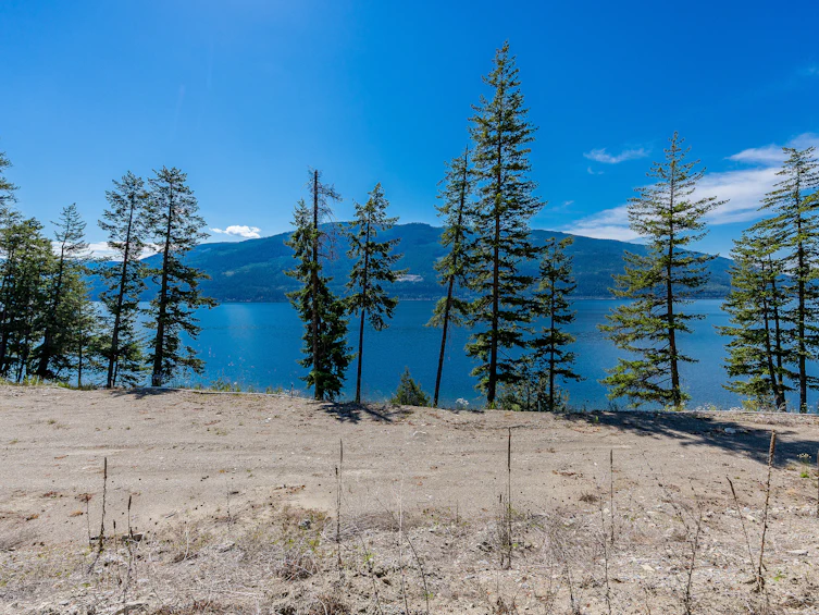 13-4990 Sunnybrae Canoe Point Road, Tappen, BC, V0E 2X1 - 46